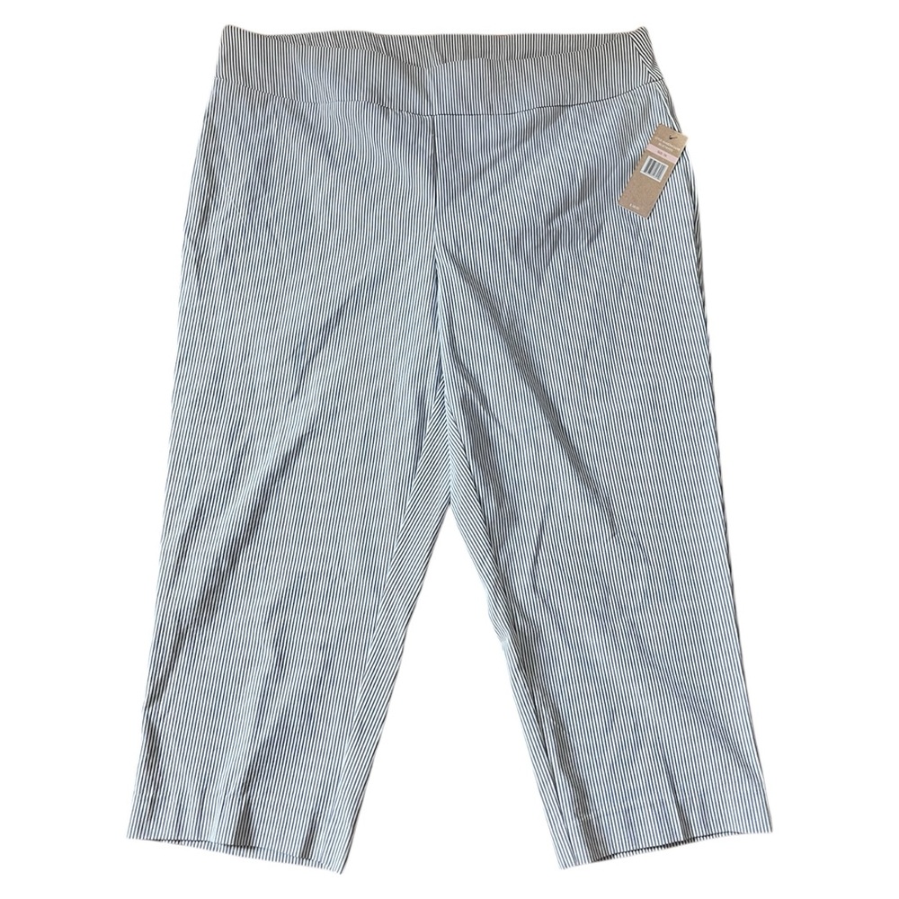 NWT Hope & Harlow Women's Blue/White Straight Leg Chino Stretch Pants Sz 2x